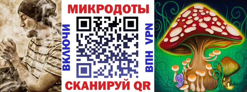 купить  сайты  Сясьстрой  Галлюциногенные грибы ЛСД 