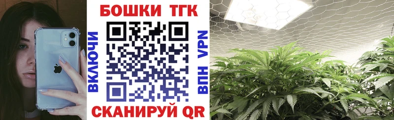 Шишки марихуана THC 21%  цены   Сясьстрой 